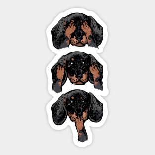 No Evil Dachshund Sticker